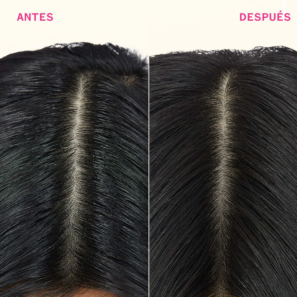 PERK UP PLUS EXTENDED CLEAN DRY SHAMPOO (CHAMP&Uacute; EN SECO)